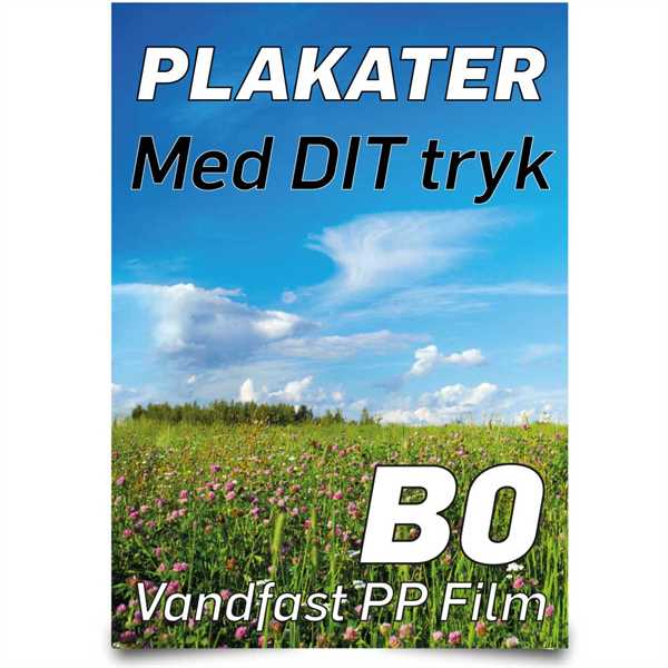 B0 Plakater 100  X 140 cm - PET Film